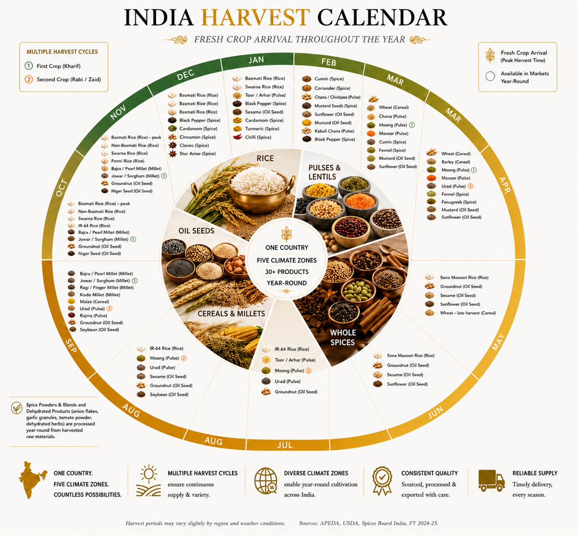 India Harvest Calendar: the main fresh crop arrival months for rice, pulses, whole spices, cereals, millets and oil seeds across the year.
